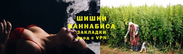 ПСИЛОЦИБИНОВЫЕ ГРИБЫ Абаза