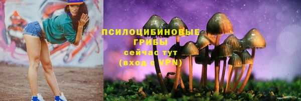 ПСИЛОЦИБИНОВЫЕ ГРИБЫ Абаза