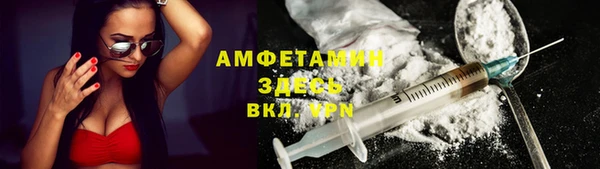ПСИЛОЦИБИНОВЫЕ ГРИБЫ Абаза