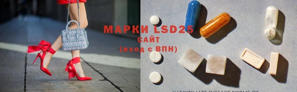 ПСИЛОЦИБИНОВЫЕ ГРИБЫ Абаза