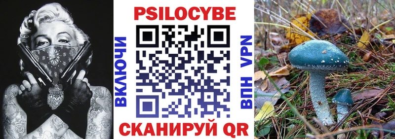 Галлюциногенные грибы мицелий  купить   Серпухов 